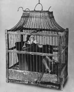 Grete Stern / Sueño nº 45. Sin título, de la serie Los Sueños, Buenos Aires, 1949